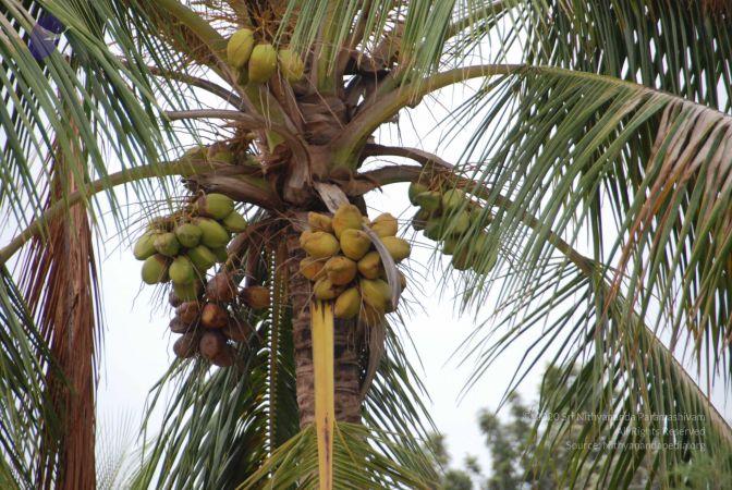 20100726 Photo 1004 1otaIXIoAgV 9uX5azQacAEY27LM6AI J.JPG