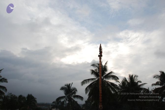 20100728 Photo 1033 1B5hpyi-OrzAdPwrXT8AM9LMm h9MTs4l.JPG