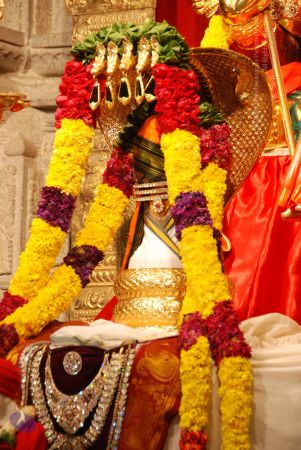 20100801 Photo 1345 1qu-8asijf-2czRAPSDKzEomN-SCxcRwo.JPG