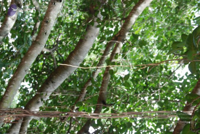 20100802 Photo 1003 125hhEatazvID uAUZYi0ACdTpRu6FZrR.JPG