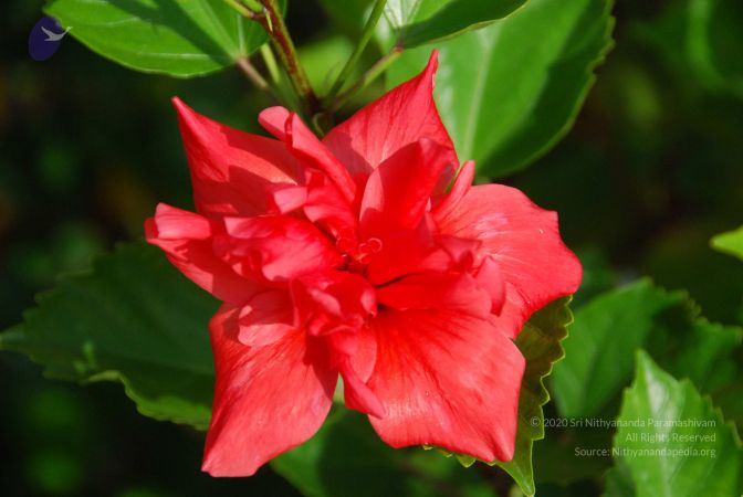 20100802 Photo 1217 11rU9420qXcOYQAdvJOLzJRefp4jBaGcJ.JPG