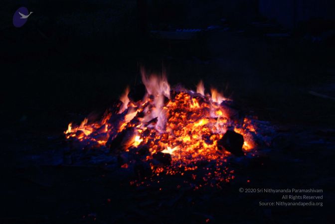 20100803 Photo 1033 1viWbPrvbmQsFGTnM-Y7mjlajhpwlRtv-.JPG