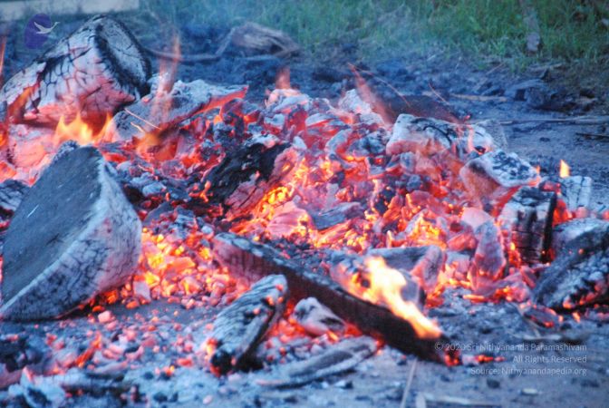 20100805 Photo 1005 1zf5vUbOISyyDtoMypBs2AeLCne231GT3.JPG