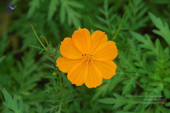 20100805 Photo 1043 1t7Fa1y5lJH8ecMw J15o4jdmyVIOIR6o.JPG