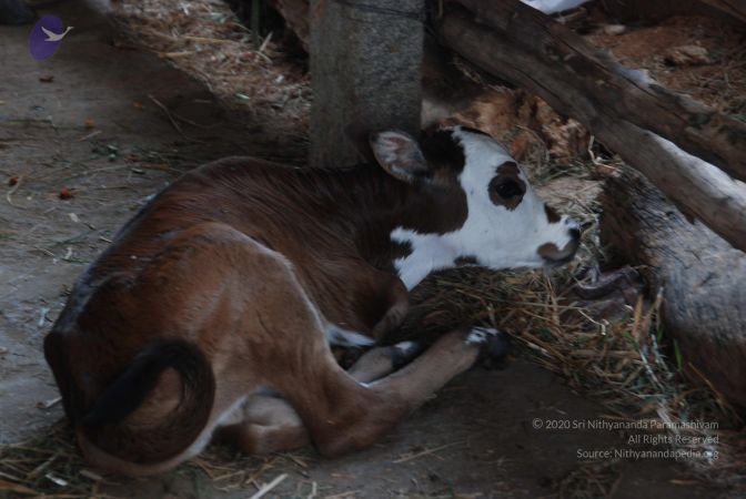 20100807 Photo 1058 1mO1dmFZpMKdfC7yy2CH0daHwBmOkw3He.JPG