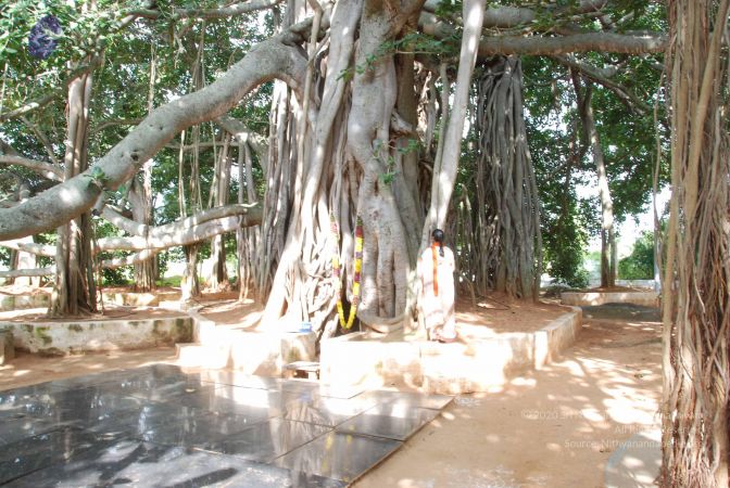 20100807 Photo 1067 1lxGVi4DC-i4ZN9vKkp TVOLdfoSd435C.JPG