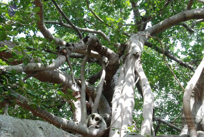 20100807 Photo 1071 19ybhGQUAI8qKJ2mFG39iCiLGtclN5qQU.JPG