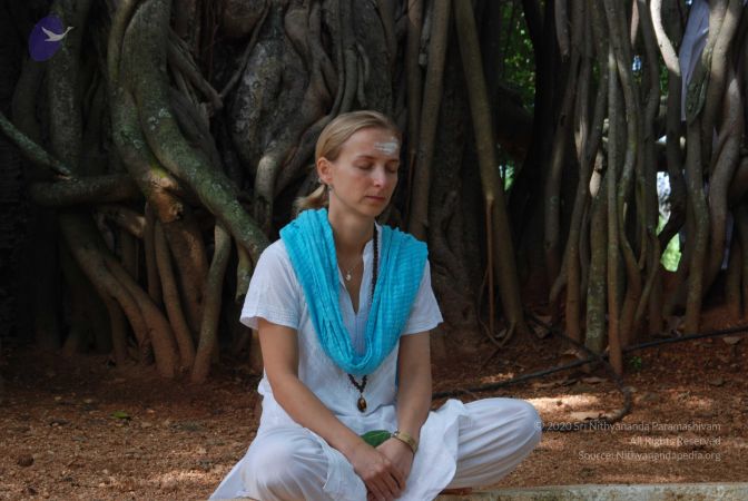 20100808 Photo 1127 1-NSsR-i7xNQlXqsfXizU7eo rRUQC7cG.JPG