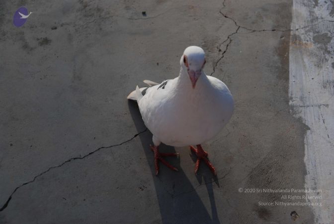 20100808 Photo 1404 1eXfHQkff6jo5Jknpwg9xF6DdV8Q2tU4H.JPG