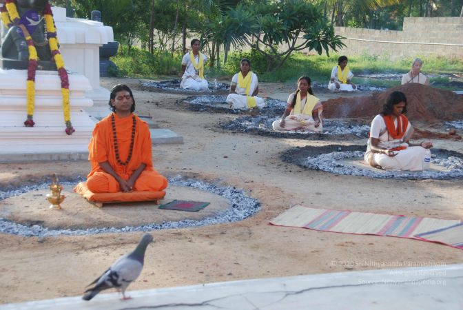 20100808 Photo 1405 1wIPalxpCmsYXu2qOMen-KW-PUyUYrPAL.JPG