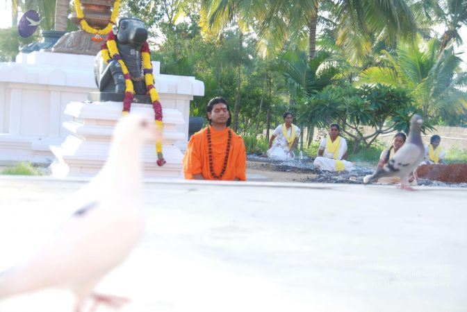 20100808 Photo 1406 1en55L6A41R9DaNS-a6dESNFFbR23iXWh.JPG