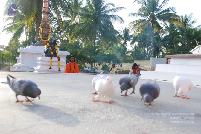 20100808 Photo 1409 1LMXHmC8lJDt4EHUEYjrLd1CbhBtngjOX.JPG