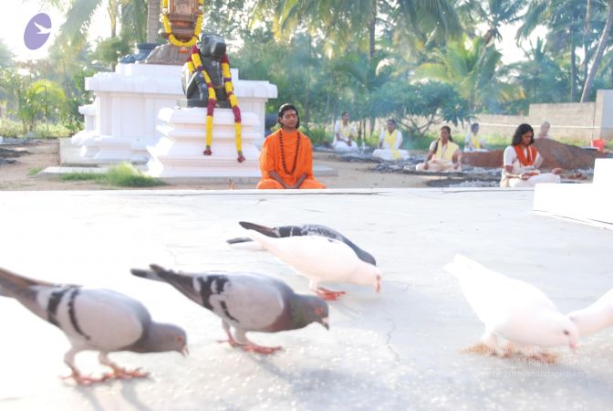 20100808 Photo 1411 1i6f3ezIwqJyqrvS buLmvyrkScH5Qn3M.JPG