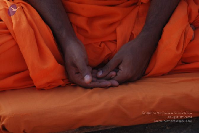 20100808 Photo 1452 1k6EgQK-FNBdAhL2IUkSztsTdBbFqplLv.JPG