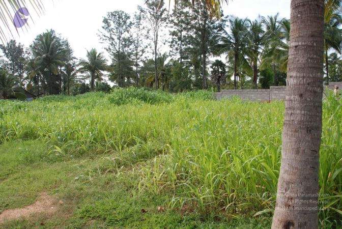 20100808 Photo 1590 1fL nNP1aaOjiDumOa61RYtP4lpJh 2ap.JPG