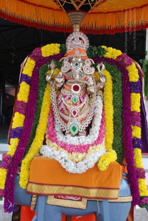 20100912 2704 CMP WM.jpg