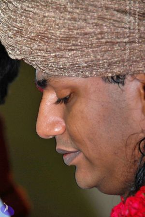 20100912 3771 CMP WM.jpg