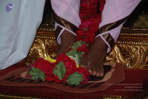 20100912 3783 CMP WM.jpg