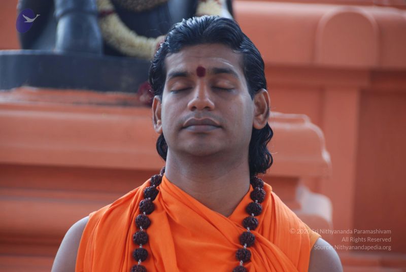 File:20100917 Photo 1213 17-PYXrPIWrZQTEUca1nGJksNvxVBWd2G.JPG