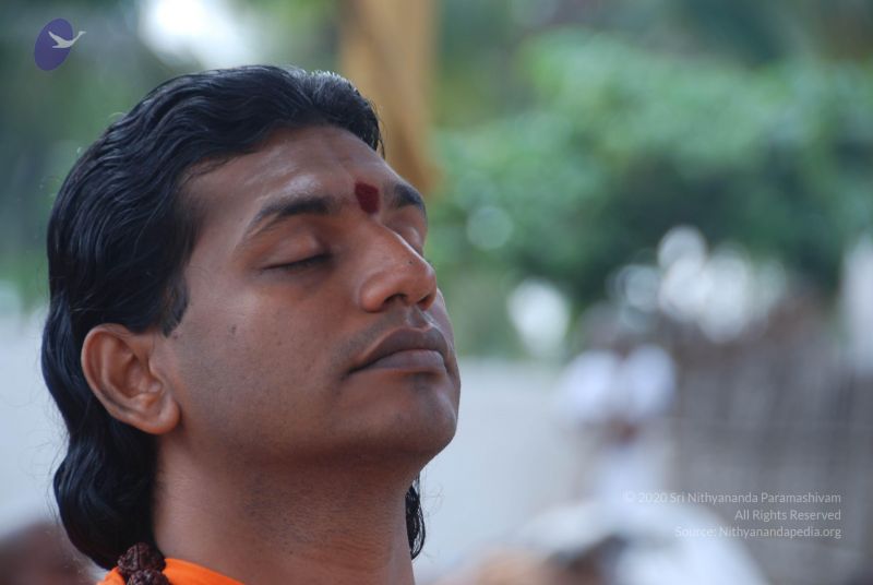 File:20100917 Photo 1240 1HjmDXi1sVsnmskytY8Jt8RRFSrsmdSll.JPG