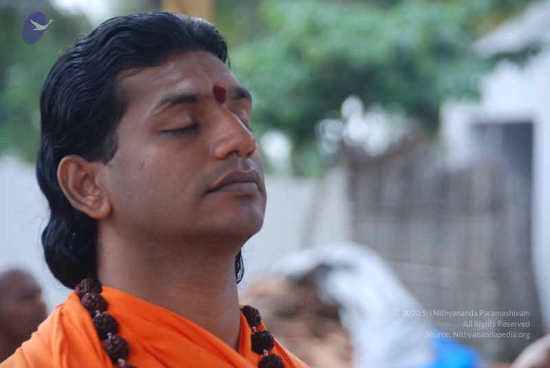 File:20100917 Photo 1243 1UnVpAniyfJHgAFyIxUIFECbMK3x-snrb.JPG