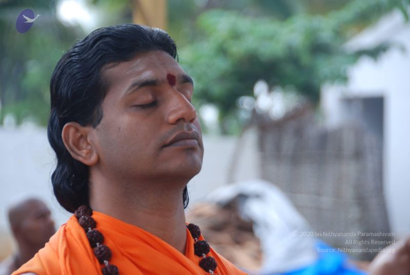 File:20100917 Photo 1244 130o-gL0RHgR25m6bhe5O66mb8 nRbLYx.JPG