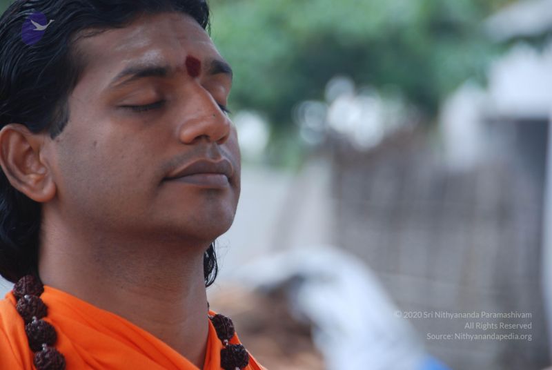 File:20100917 Photo 1247 1T5OMre3Afy8zEmgCIC4sxHroND6HlUIV.JPG