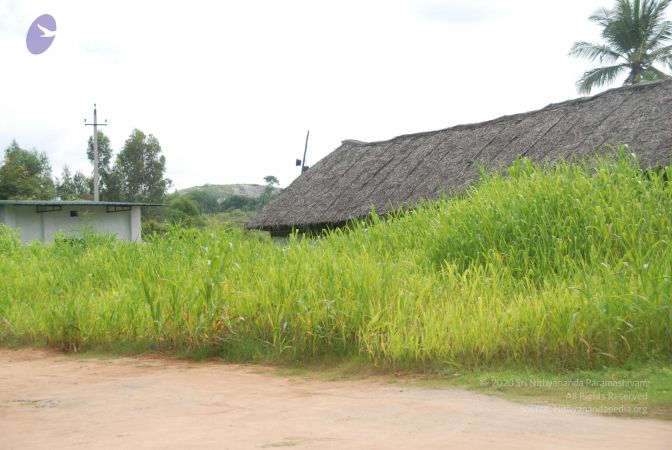 20100917 Photo 1478 1CF8rimiMwPtNTebkrJMBtj4Qx0oo1stD.JPG