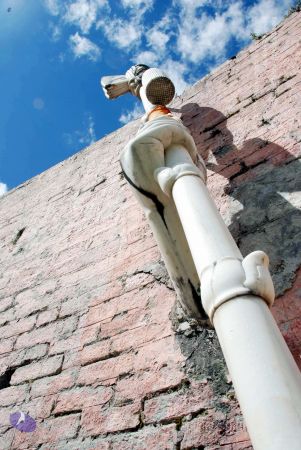 20100927DSC 2181 CMP WM001.jpg