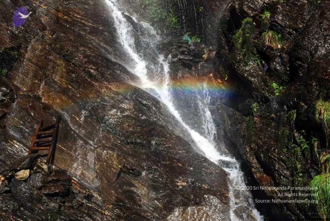 20100927DSC 3143 CMP WM001.jpg