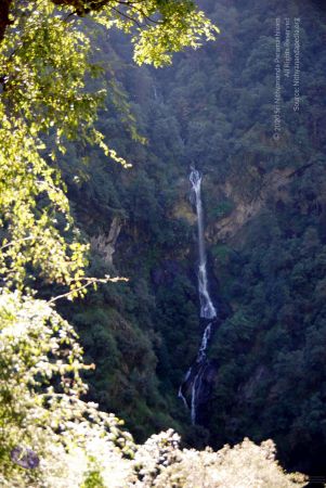 20100927DSC 3160 CMP WM001.jpg