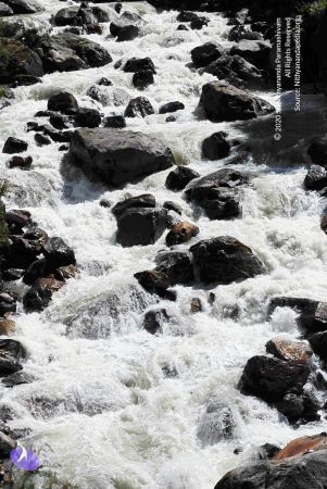 20100927DSC 3184 CMP WM001.jpg