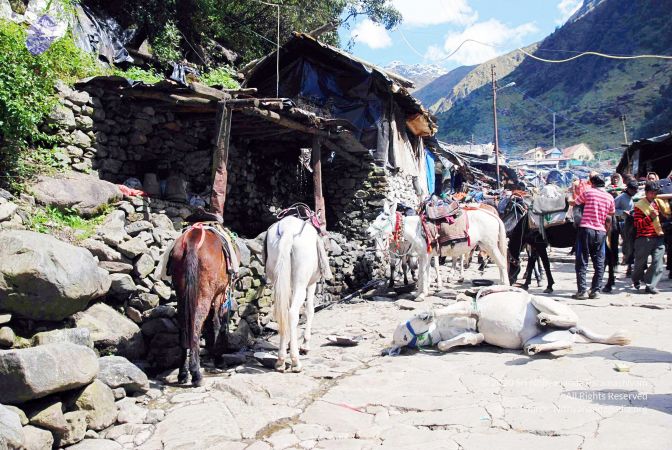 20100927DSC 3214 CMP WM001.jpg