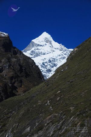 20100929 Photo 1001 1VH6Eoq1ZazllRpcZRhjUgAD7dAfZwoNb.JPG