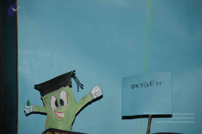 20101001 Photo 1136 1Zs465RKw woLkWIdgaQwbR0nNkn2R4dE.JPG