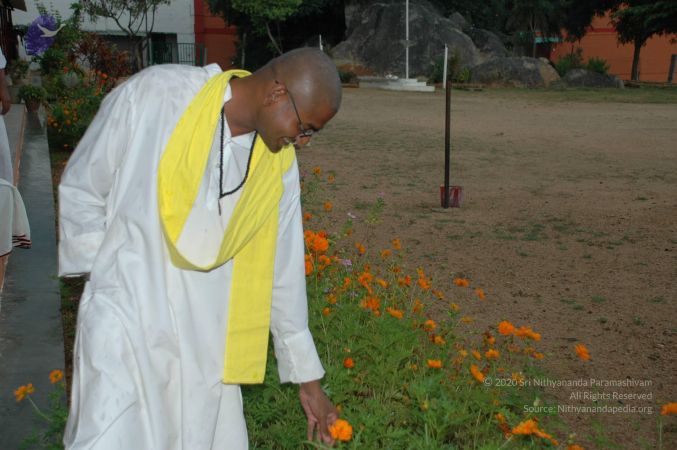 20101001 Photo 1207 1WvFuk7 UTSBtWljlvFFeIu8xY8J65jjF.JPG