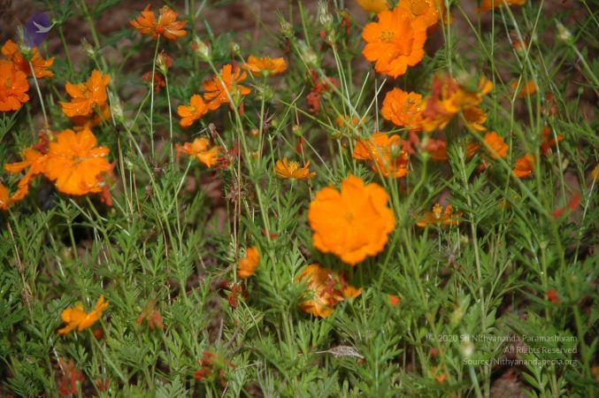 20101001 Photo 1211 1avsiW4Psd2x8lzta2-eH1eBBDIfA jeF.JPG