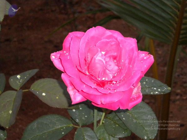 20101001 Photo 1251 1YqJZd94nV8q1Qq3zzp4GK20XNI7a6Qwz.JPG