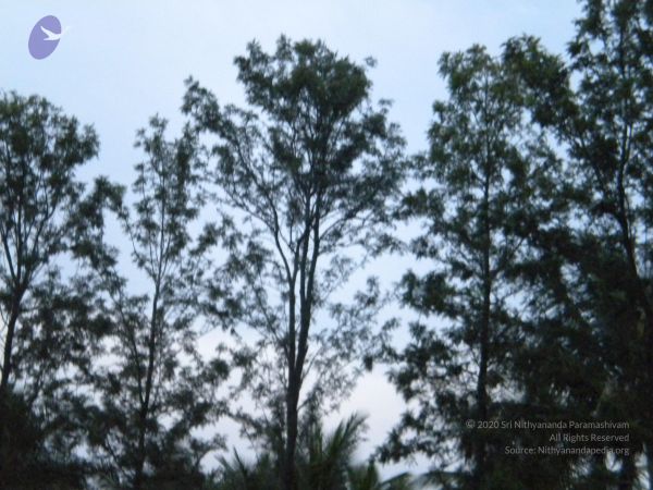 20101001 Photo 1253 14l46jlkfCsUdONLRKDBW0SzdLyWDlWKT.JPG