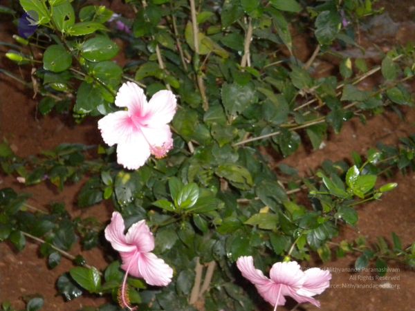 20101001 Photo 1254 1c0X5cQjIp2d- UzGhoMf7l87i0f7wgPN.JPG