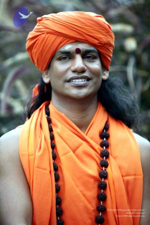 20101015IMG 7667 CMP WM00010.jpg