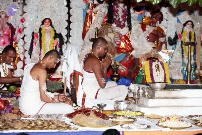 20101015IMG 7805 CMP WM001.jpg