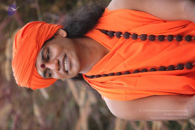 20101015 Photo 1024 1e naqrL9nFHRAXUl74Nc6O4inNS-3lp5.JPG