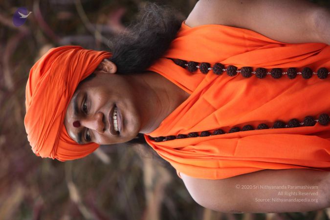 20101015 Photo 1026 1E88rNyF5flfpwhMXPMJ1A0DDKM8qpksw.JPG