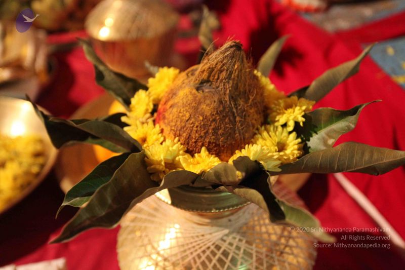 File:20101015 Photo 1735 1FdJPIcT-qdCOE30yU3SvKwLM-1g8rTOd.JPG