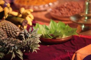 20101015 Photo 1784 1010jfLdVZUlrt8P7WVIhTMfrLQHjR Nh.JPG