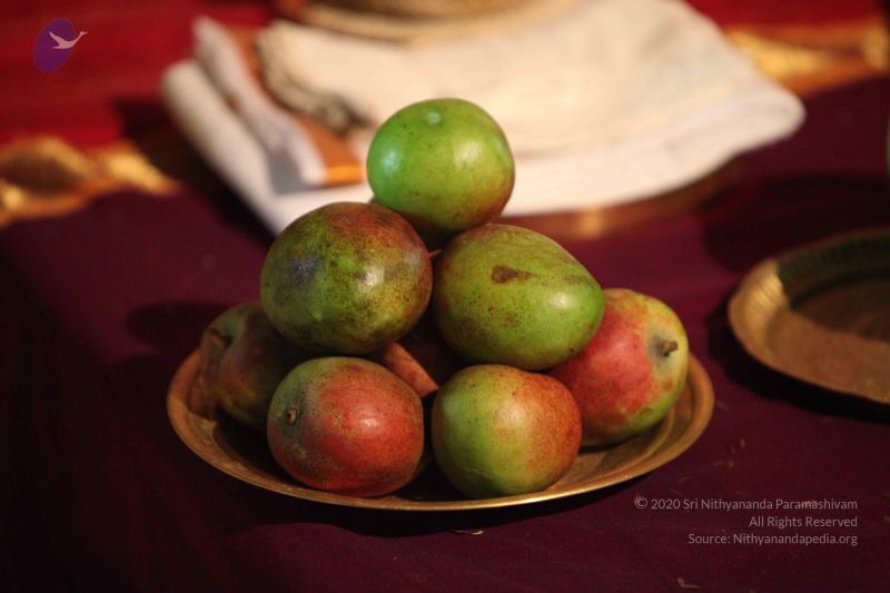 File:20101015 Photo 1786 1BDnmrNgKV6QNADnDpT-iSLbw72chq1z9.JPG