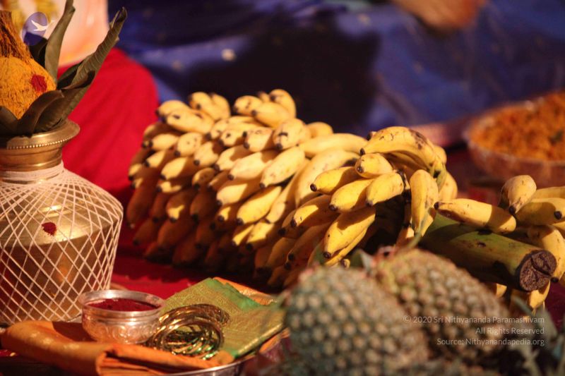 File:20101015 Photo 1790 1KyLWA9H0iCEw1wvg4Kb3d0WS6Y7s3FcG.JPG