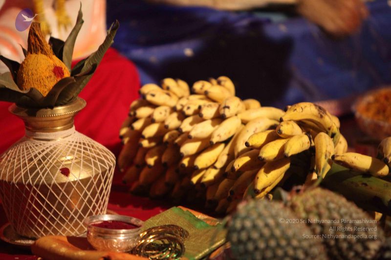 File:20101015 Photo 1791 12x-621WyxnaRq87eiSiYXkfVq5FIGkdk.JPG