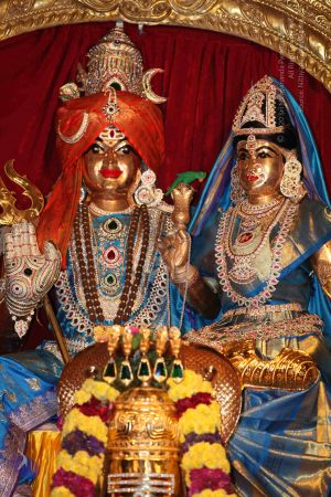 20101015 Photo 1811 1MDZzyMTiXyIJX-5VoCHqRz311dhh8M0r.JPG